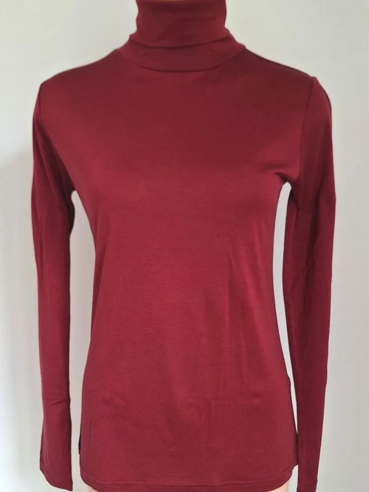 Shirts Mit Seide|Wolle-Seide Shirts^Alkena 55% Seide 45% Wolle ROLLKRAGEN-SHIRT uni von