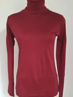 Shirts Mit Seide|Wolle-Seide Shirts^Alkena 55% Seide 45% Wolle ROLLKRAGEN-SHIRT uni von