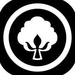 Baumwolle- & Faserkissen^f.a.n. Frankenstolz f.a.n. Allergiker Kopfkissen MEDISAN 95° waschbar weiß