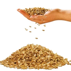 Nackenstützkissen & Körnerkissen^f.a.n. Frankenstolz f.a.n. Medisan DINKELKISSEN Sleep + Care natur-weiß