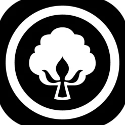 Baumwolle- & Faserkissen^f.a.n. Frankenstolz Kopfkissen AFRICAN COTTON mit Lyocell weiß