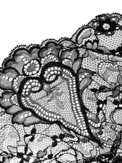 Shirt Mit Spitze|Langarm^Cadolle Langarm Minitop BOLERO COEUR Spitze von schwarz