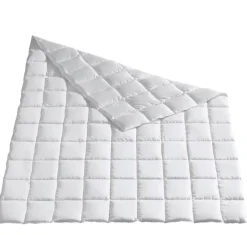 Sommerdecken|Daunendecken^Hu00e4ussling Leichte Sommer Daunendecke COMFORT von Häussling weiß