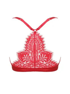 Alle Bhs^Prelude Push Up BH mit Spitzenrücken BLACK SWAN von Milano schwarz und rot