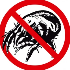 Naturhaarkissen^Sannwald ALPENTRAUM Kopfkissen mit Zirbe creme / natur