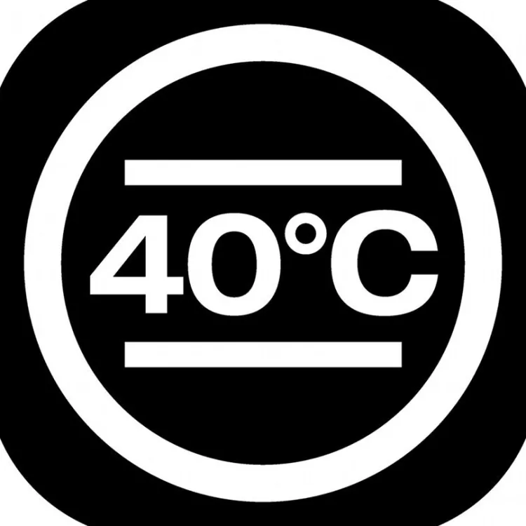 Naturhaarkissen^Sannwald DERBY Schafwolle Kopfkissen waschbar creme / natur