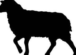 Winterdecken|Naturhaardecken^Sannwald Duo Bettdecke ALPENTRAUM Schafwolle mit Zirbe creme-weiß (natur)