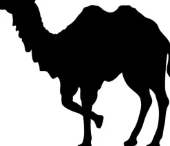 Naturhaardecken|Winterdecken^Sannwald Duo-Winterdecke Kamelhaar KAIRO waschbar creme-weiß (natur)