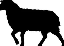 Naturhaarkissen^f.a.n. Frankenstolz Schafwolle LAMMFLOR KOPFKISSEN oder Nackenrolle von natur-f.a.n. creme / natur