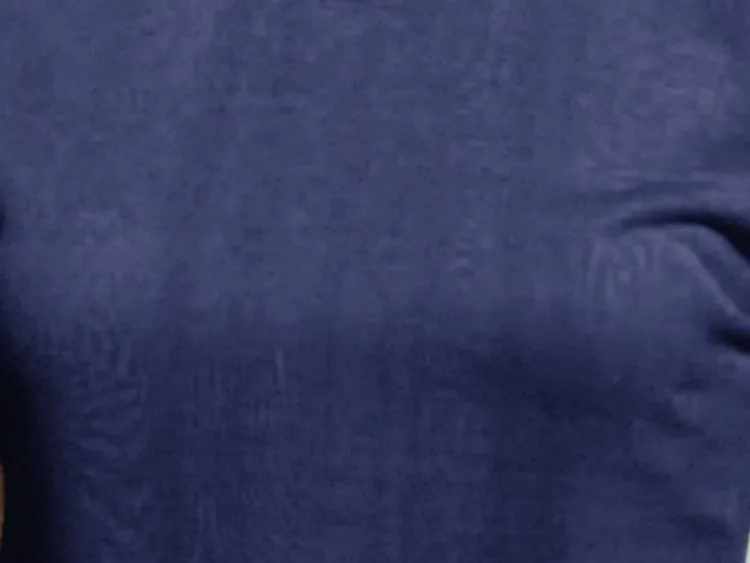 T-Shirt|Shirts Mit Seide^Kokon Zwo Seide mit Bio-Baumwolle kbA T-Shirt viele Farben von