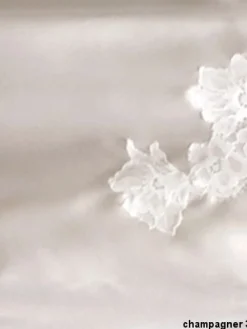 Alle Negligés|Kurze Unterkleider^Cotton Club Seta Superior Negligé SPLENDIDA von mit Seide