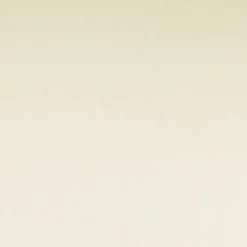 Alle Slips^Cotton Club Slip ASIA Microtüll uni von Rubino