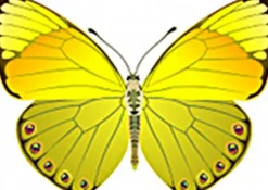 Seidendecken|Sommerdecken^HEFEL Sommer Seidendecke PURE SILK SD mit Lyocell-Satin von champagner (creme-weiß)