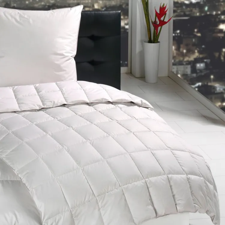 Daunendecken|Sommerdecken^Hu00e4ussling Sommerdecke MOSCHUS ROYAL von Häussling Füllung 100% Daune silbergrau