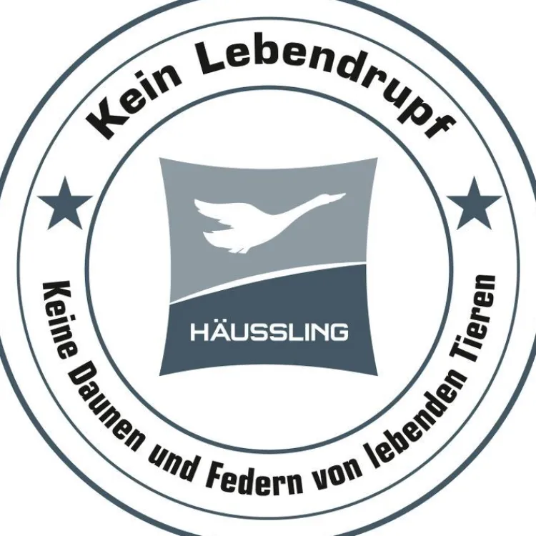 Daunendecken|Sommerdecken^Hu00e4ussling Sommerdecke MOSCHUS ROYAL von Häussling Füllung 100% Daune silbergrau