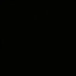 Badeanzug & Bikini^Triumph HIGH FASHION Push-Up Bikini nur noch in schwarz