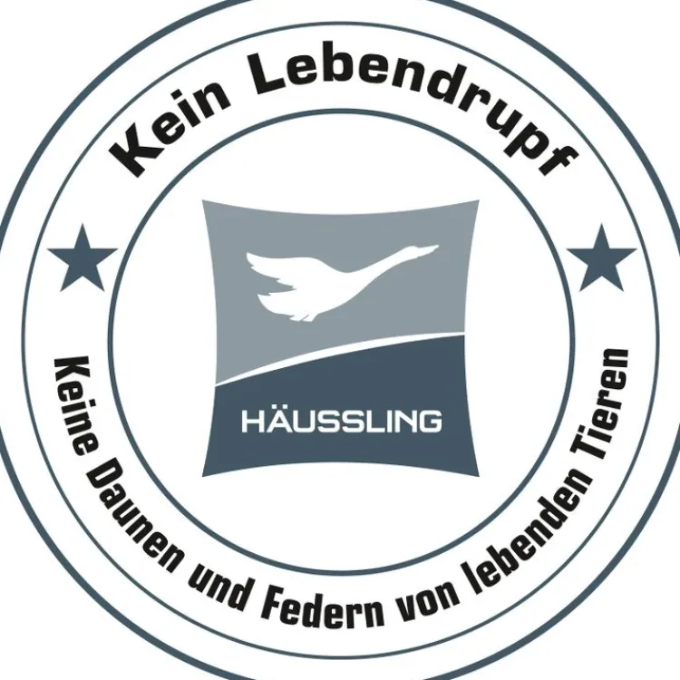 Daunendecken|Winterdecken^Hu00e4ussling Winter Daunendecke KÖNIGSTRAUM WARM von Häussling weiß